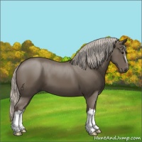 Horse Color:Silver Black 