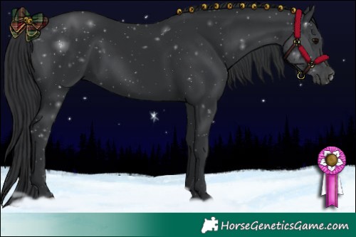 Horse Color:Black 