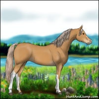 Horse Color:Palomino