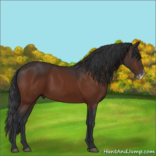Horse Color:Brown Frame 