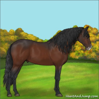Horse Color:Brown Frame 