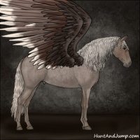 Horse Color:Silver Blue Roan 