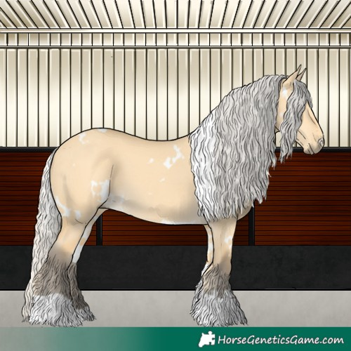 Horse Color:White Spotted Silver Buckskin Dun Tobiano 