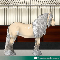 Horse Color:White Spotted Silver Buckskin Dun Tobiano