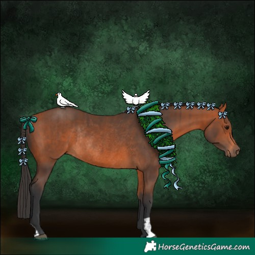 Horse Color:Bay Rabicano and Bay Rabicano