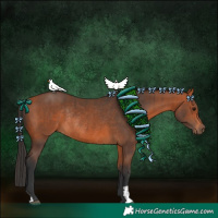 Horse Color:Bay Rabicano  and Bay Rabicano 