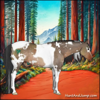 Horse Color:White Spotted Brown Dun Tobiano Rabicano 