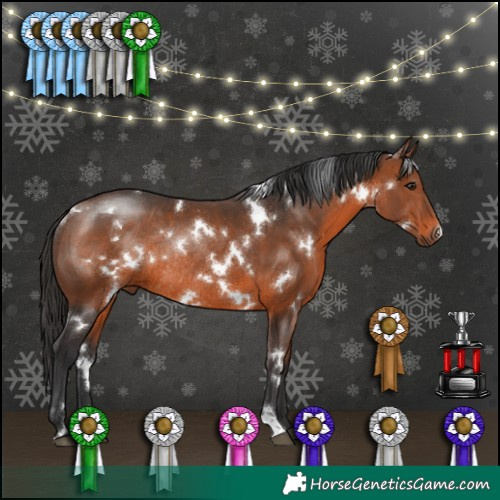 Horse Color:White Spotted Brown Rabicano 