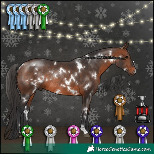 Horse Color:White Spotted Brown Rabicano 