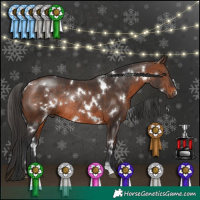 Horse Color:White Spotted Brown Rabicano 