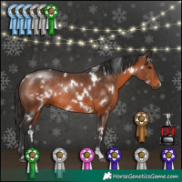 Horse Color:White Spotted Brown Rabicano