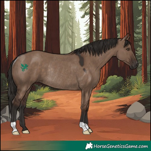 Horse Color:Liver Red Dun Rabicano 