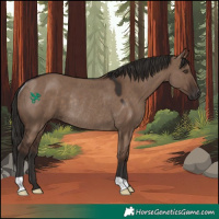Horse Color:Liver Red Dun Rabicano 