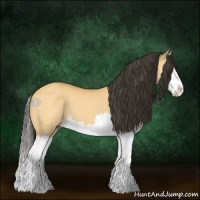 Horse Color:Buckskin Dun Splash 