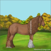 Horse Color:Chestnut Tobiano