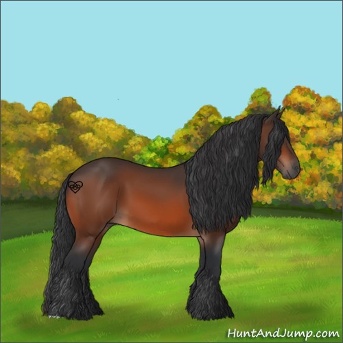 Horse Color:Brown 