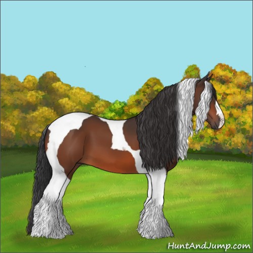 Horse Color:Bay Tobiano 