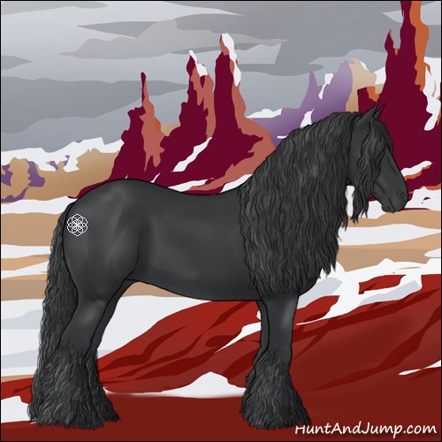 Horse Color:Black 
