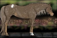 Horse Color:Chocolate Palomino Roan Snowflake Varnish
