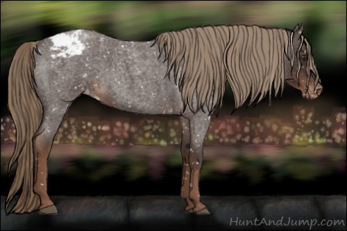 Horse Color:Liver Red Roan Snowflake Varnish