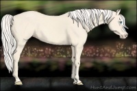 Horse Color:Cremello Splash  and Cremello Splash Frame 