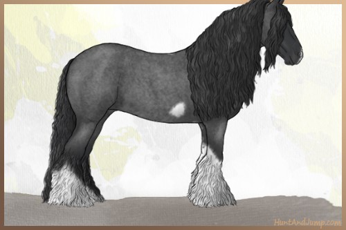 Horse Color:Blue Roan Tobiano Frame 