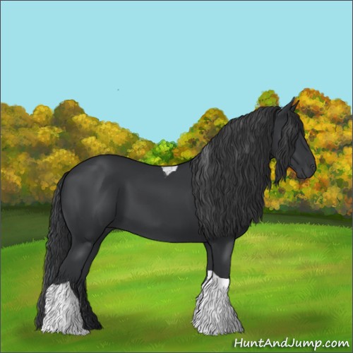 Horse Color:Black Tobiano 