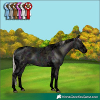 Horse Color:Void Midnight Silver Black Ice Tobiano 