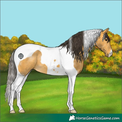 Horse Color:Buckskin Tobiano 