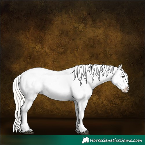 Horse Color:White Spotted Silver Bay Sabino Frame Appaloosa 