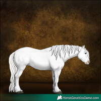 Horse Color:White Spotted Silver Bay Sabino Frame Appaloosa 