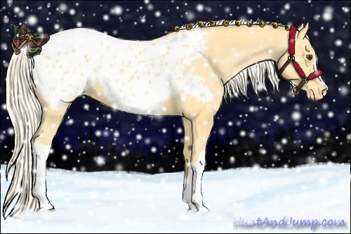 Horse Color:Palomino Appaloosa 