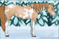 Horse Color:Red Roan Pearl Tobiano Frame 