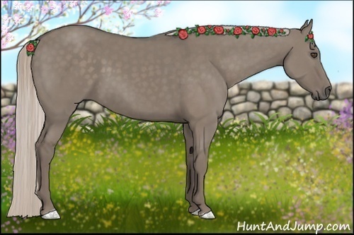 Horse Color:Silver Grullo 
