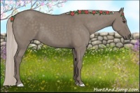 Horse Color:Silver Grullo 