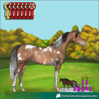 Horse Color:White Spotted Sable Champagne Tobiano Rabicano