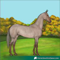 Horse Color:Liver Red Dun Roan Mushroom Rabicano