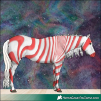 Horse Color:Palomino Appaloosa 