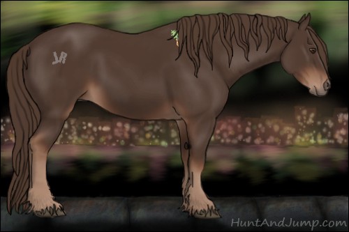 Horse Color:Liver Chestnut 