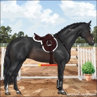 Horse Color:Brown Sabino Rabicano 