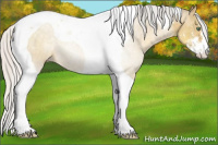 Horse Color:Silver Classic Cream Champagne Dun Sabino Tobiano 