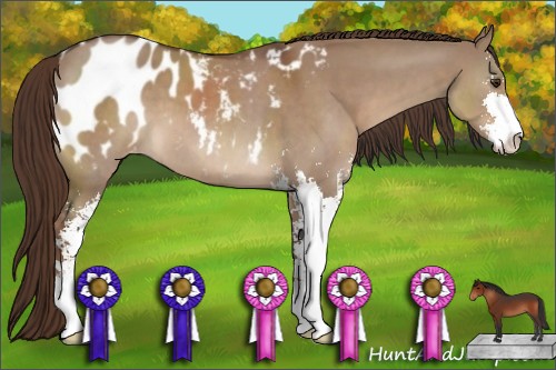 Horse Color:Liver Red Dun Sabino Blanket 
