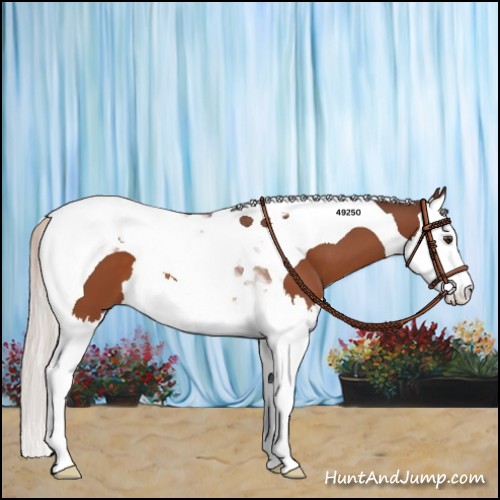 Horse Color:Silver Brown Splash Tobiano 