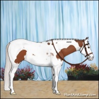 Horse Color:Silver Brown Splash Tobiano 