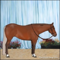 Horse Color:Silver Brown 