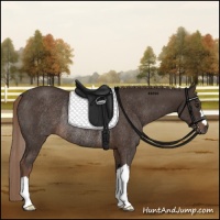 Horse Color:Liver Chestnut Rabicano
