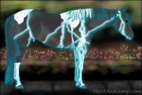 Horse Color:Thunderstruck Brown Tobiano 