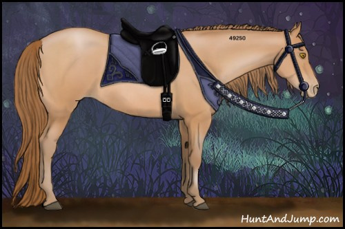 Horse Color:Bay Pearl Rabicano 