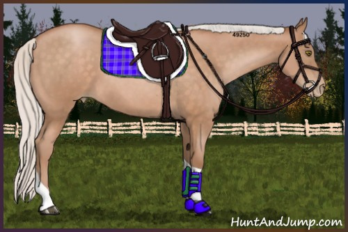 Horse Color:Silver Brown Pearl Tobiano Rabicano 