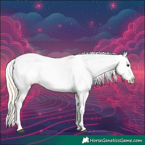 Horse Color:Palomino Blanket 